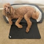 71Kyqb6516L._SL1600_