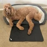 71Kyqb6516L._SL1600_