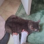 71PLxcYrYkL._SL1600_